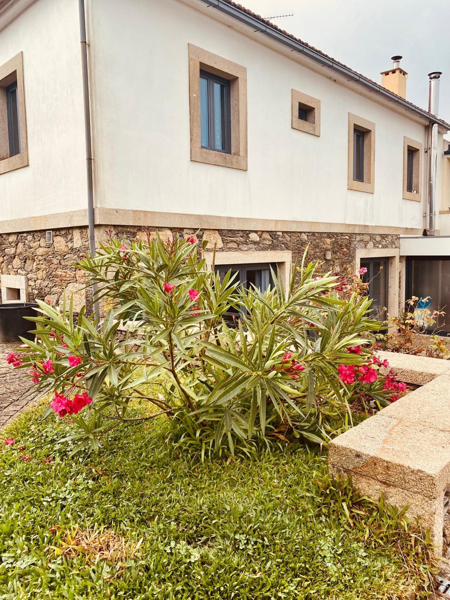 Serra De Arga Mountain House Montaria Экстерьер фото